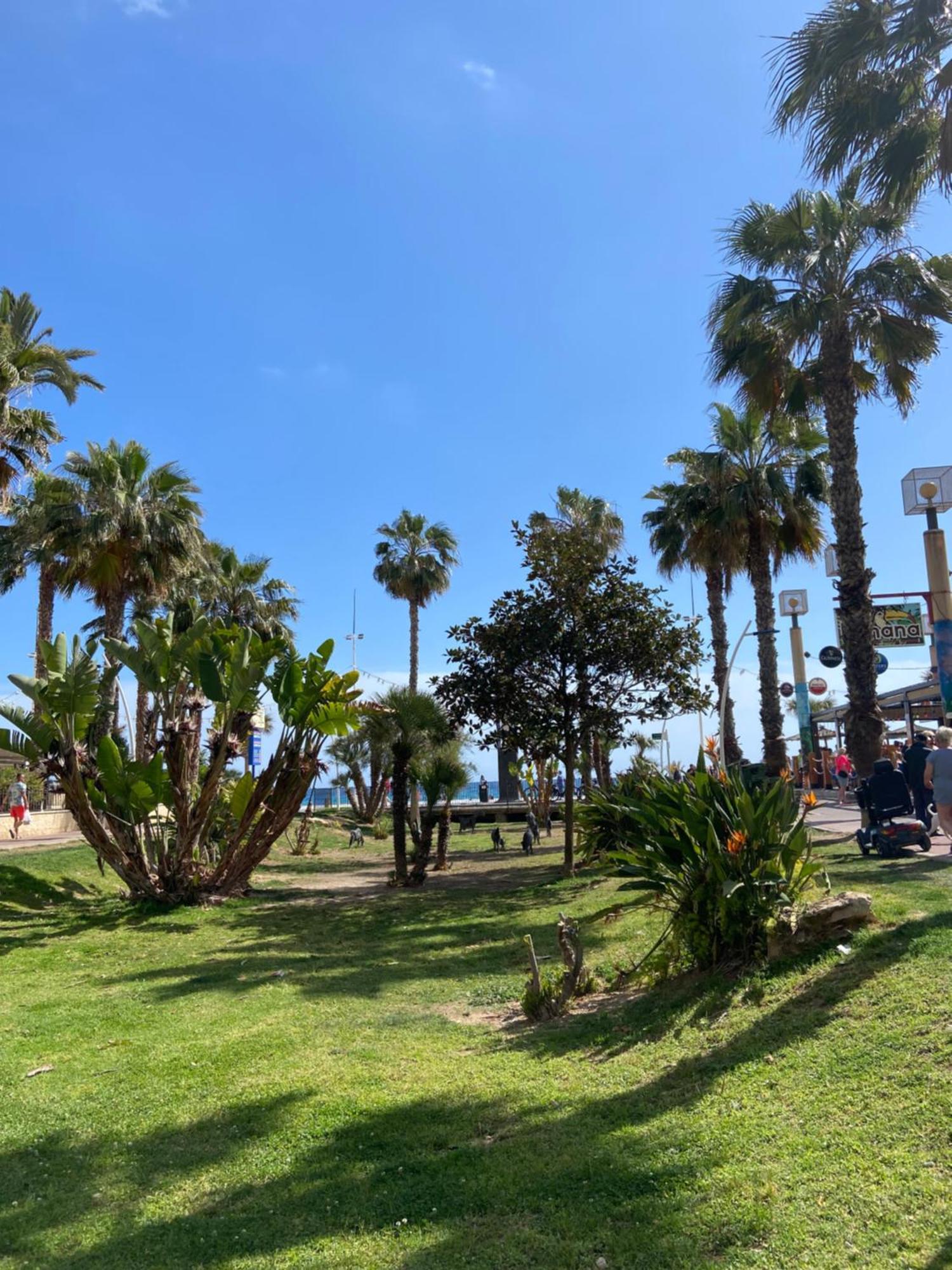 Levante Carlos V 1b Appartement